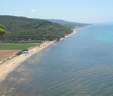 De La 3* Carpino
